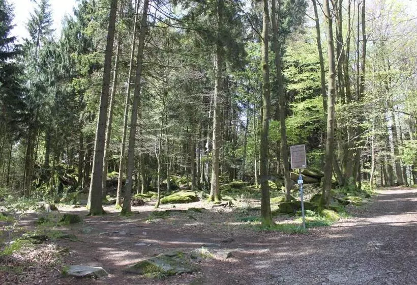 Отель Pension Zur Sonne 24/7