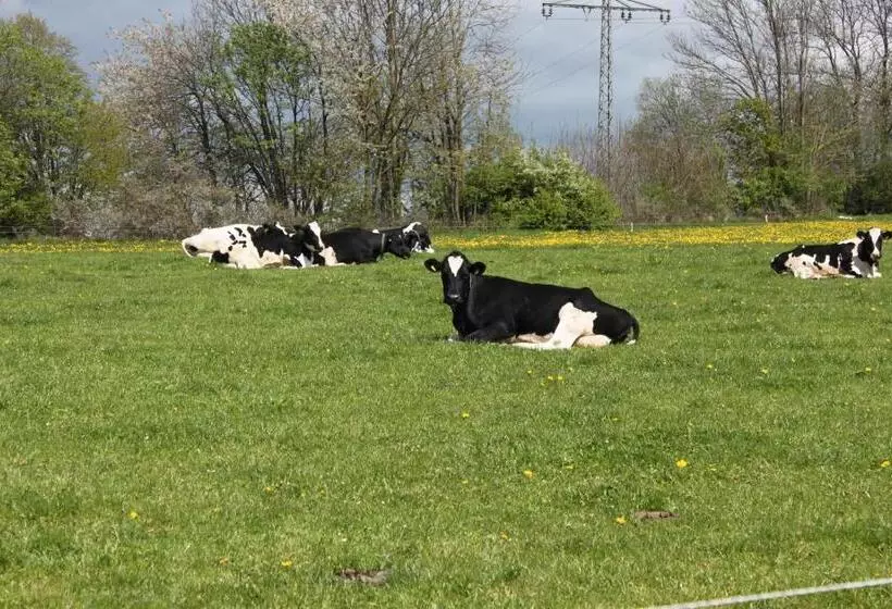 Отель Pension Zur Sonne 24/7