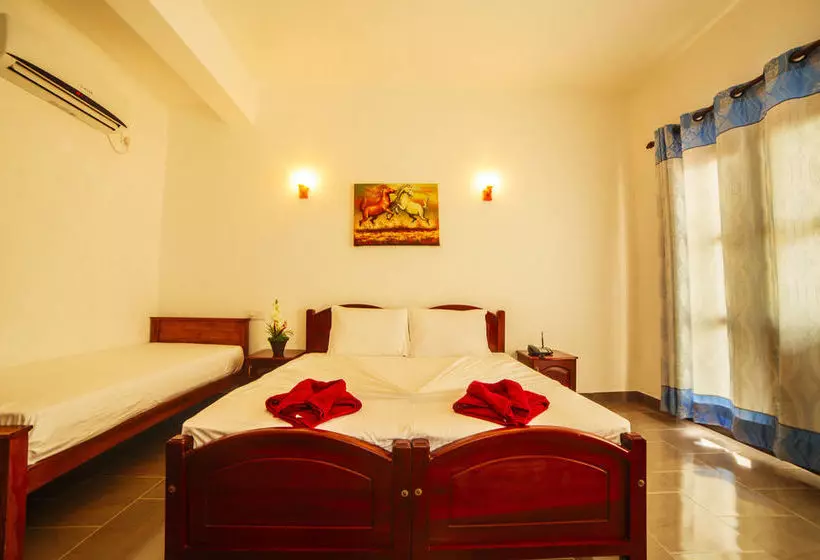 בית מלון כפרי Shanketha Palace