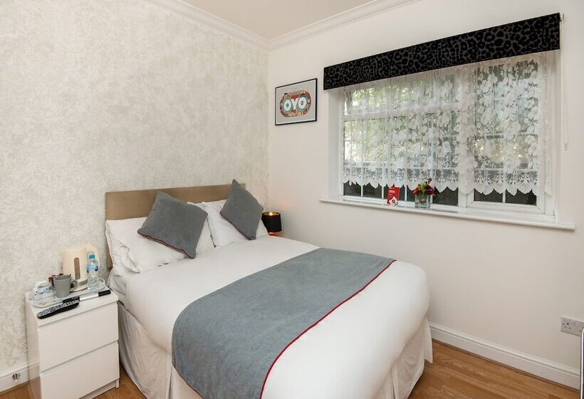 بنسيون OYO Vale Lodge