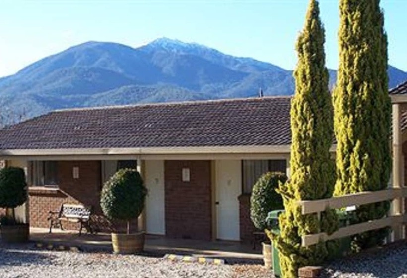 Bogong Moth Motel