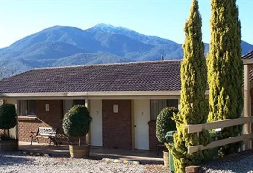 Bogong Moth Motel