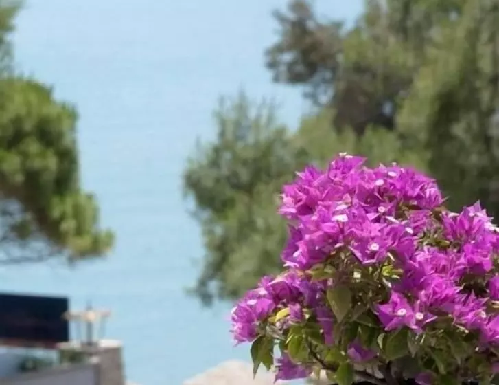 Epavlis Beach Resort