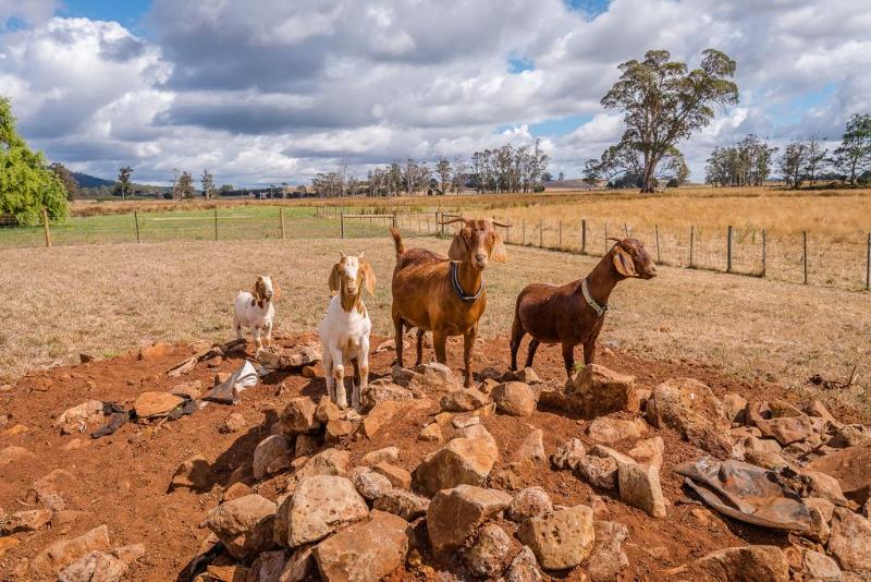 ホテル Glencoe Country Bed And Breakfast