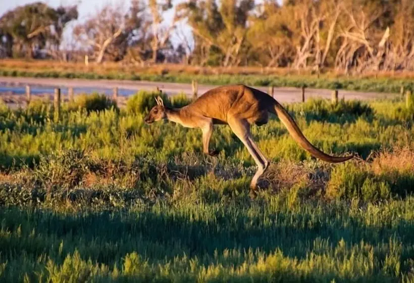 בית מלון כפרי Inn The Tuarts Guest Lodge