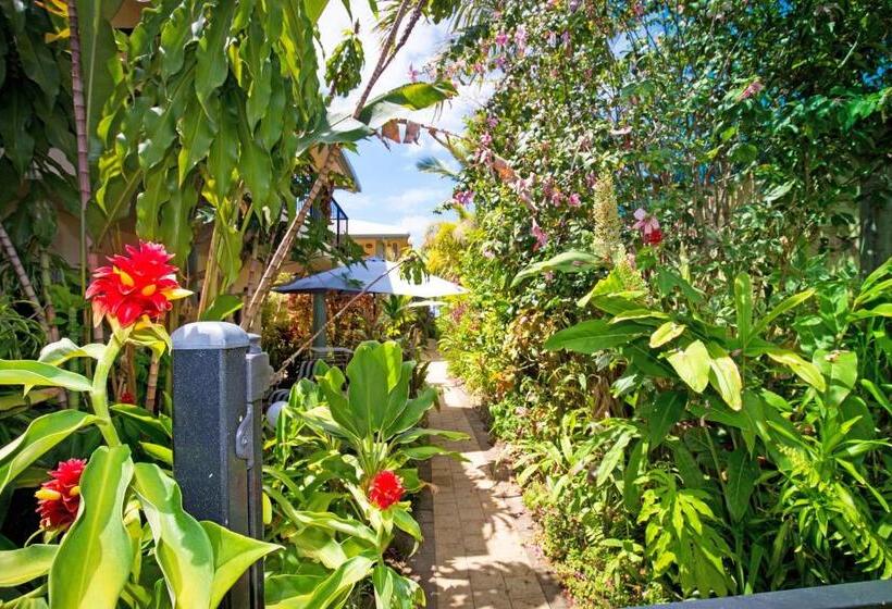 فندق Mission Reef Resort