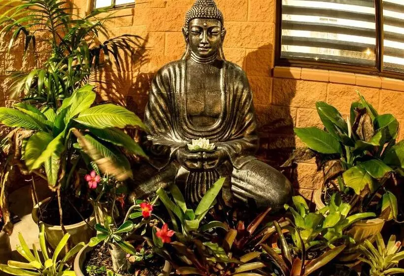 هتل Pialba Motor Inn