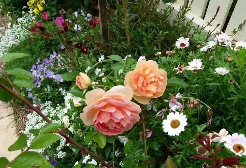 Отель Reid S Place