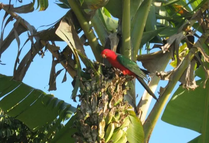 ホテル Sacred Mountain Retreat