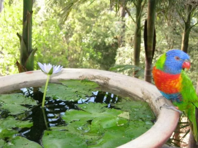 ホテル Sacred Mountain Retreat