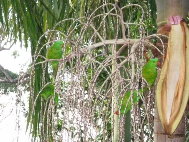 ホテル Sacred Mountain Retreat