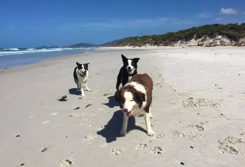 Отель Sandpiper Ocean Cottages