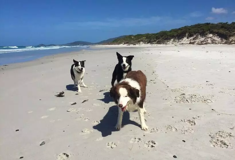Отель Sandpiper Ocean Cottages