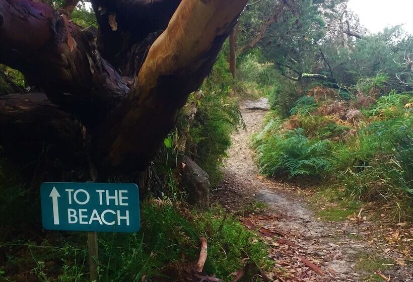 Отель Sandpiper Ocean Cottages