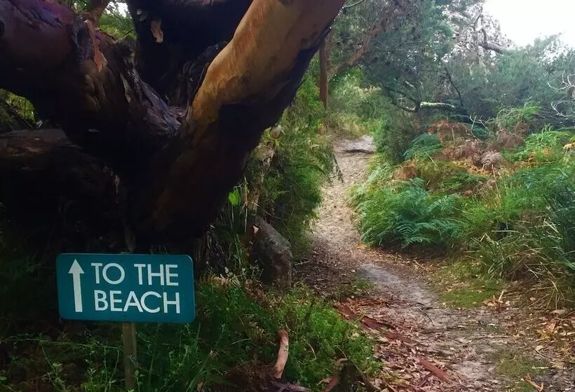 Отель Sandpiper Ocean Cottages