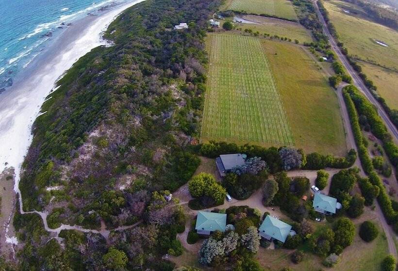 Отель Sandpiper Ocean Cottages