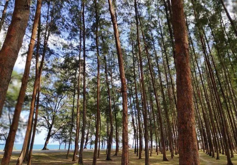 Hotelli Semarak Beach Inn