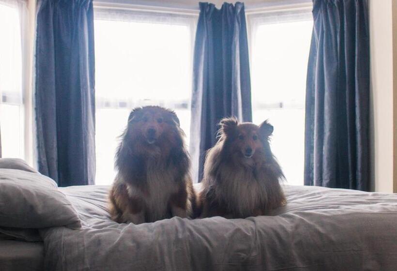 فندق Wellesley Park