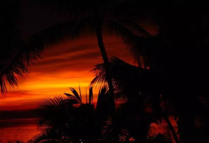 Sibaja Palms Sunset Beach Apartment