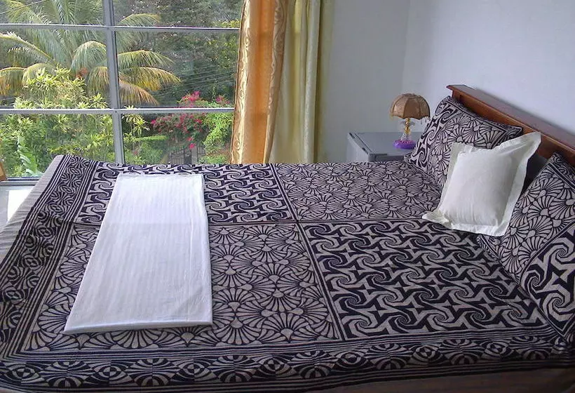 ベッドアンドブレックファースト Blossom Rest