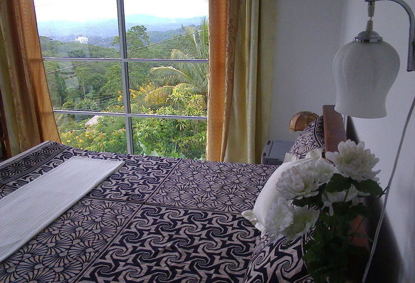 Bed and Breakfast Blossom Rest