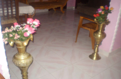 Bed and Breakfast Blossom Rest