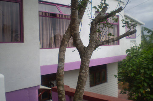 Bed and Breakfast Blossom Rest