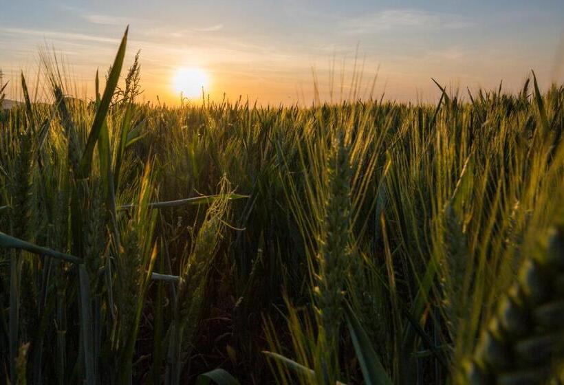 בית מלון כפרי Agriturismo Il Barco