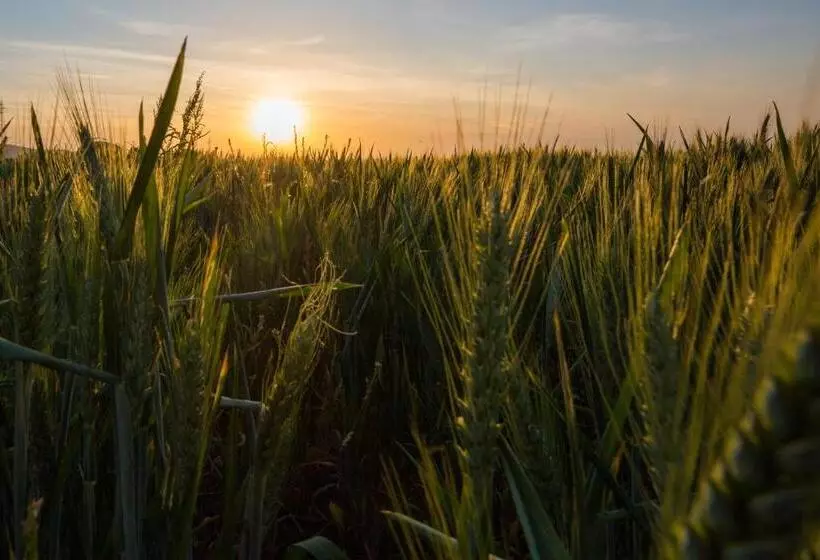 Szálloda Agriturismo Il Barco