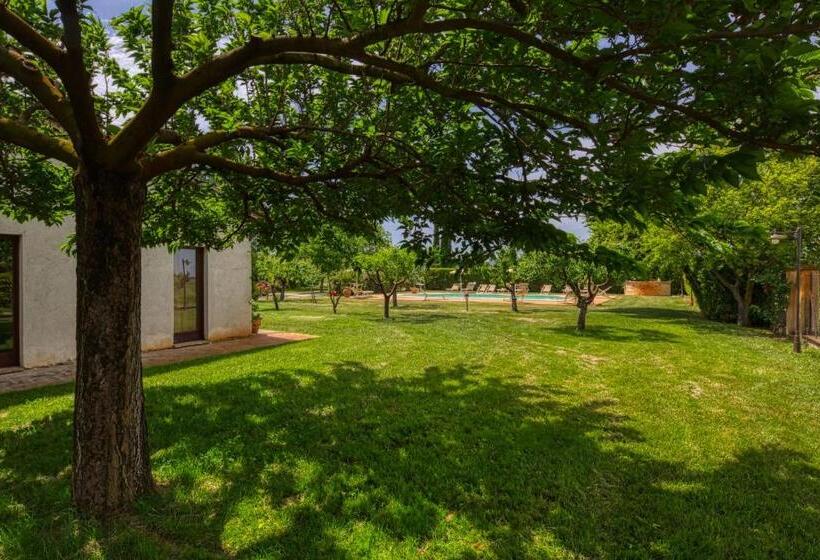 בית מלון כפרי Agriturismo Il Barco