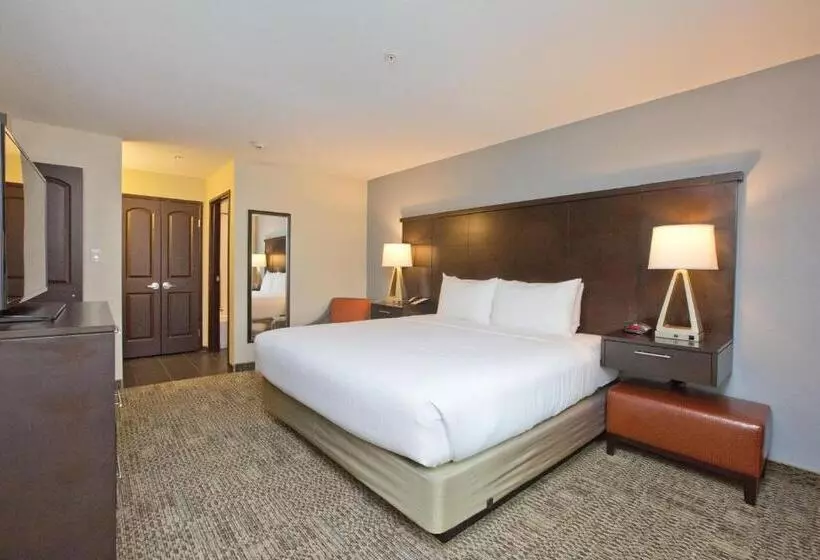 酒店 Staybridge Suites Austin South Interstate Hwy 35, An Ihg