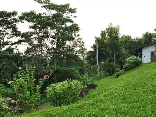 ペンション Hilltop Boutique Villa