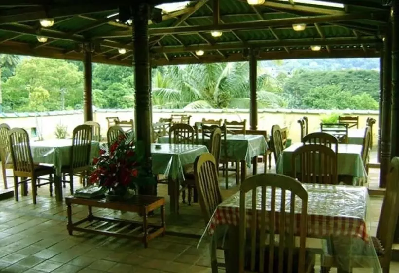 Pensió Palm Garden S