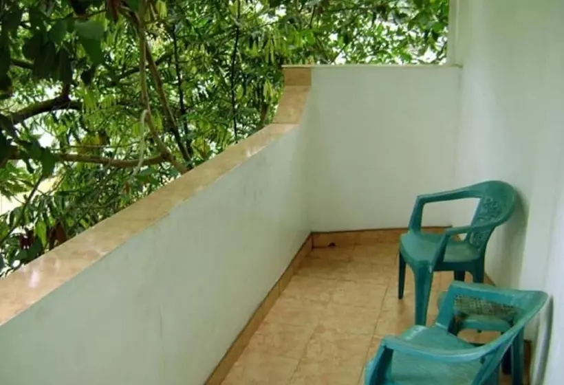 Pensió Palm Garden S