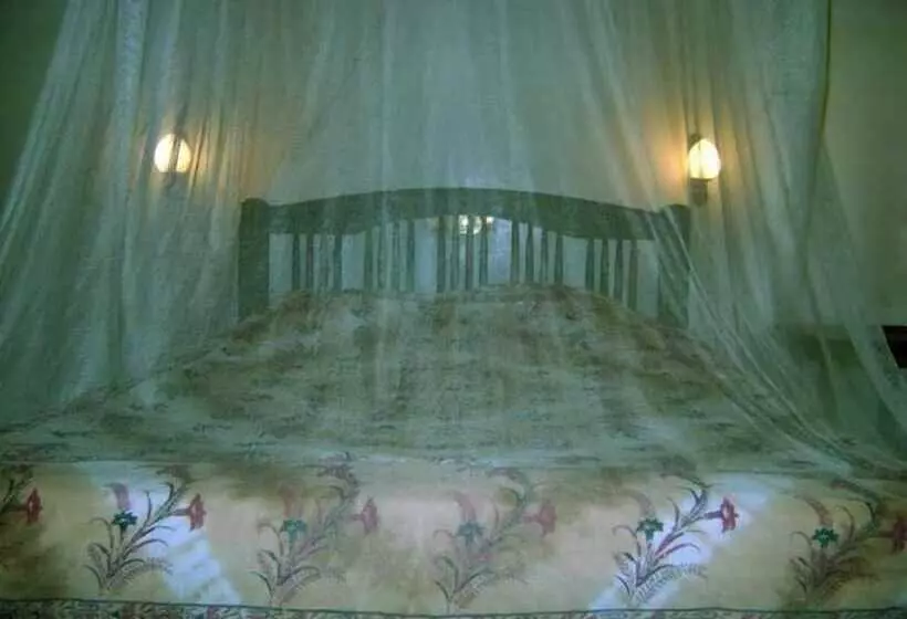 Pensió Palm Garden S