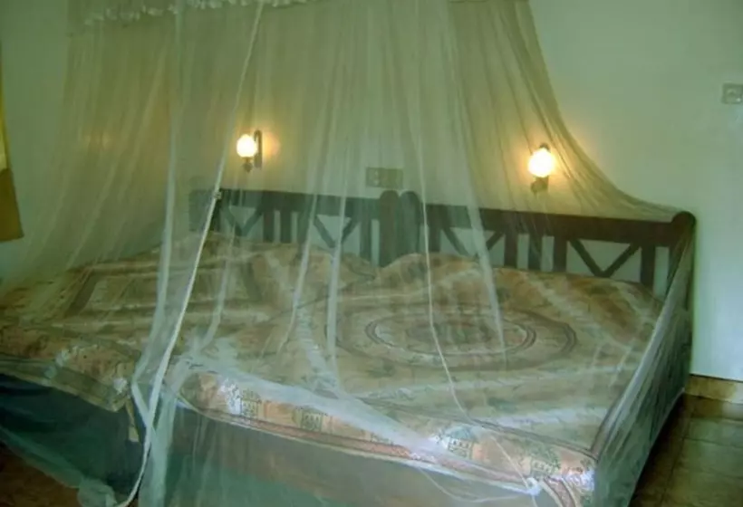 Pensió Palm Garden S