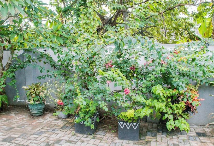 פנסיון Villa Harbour View