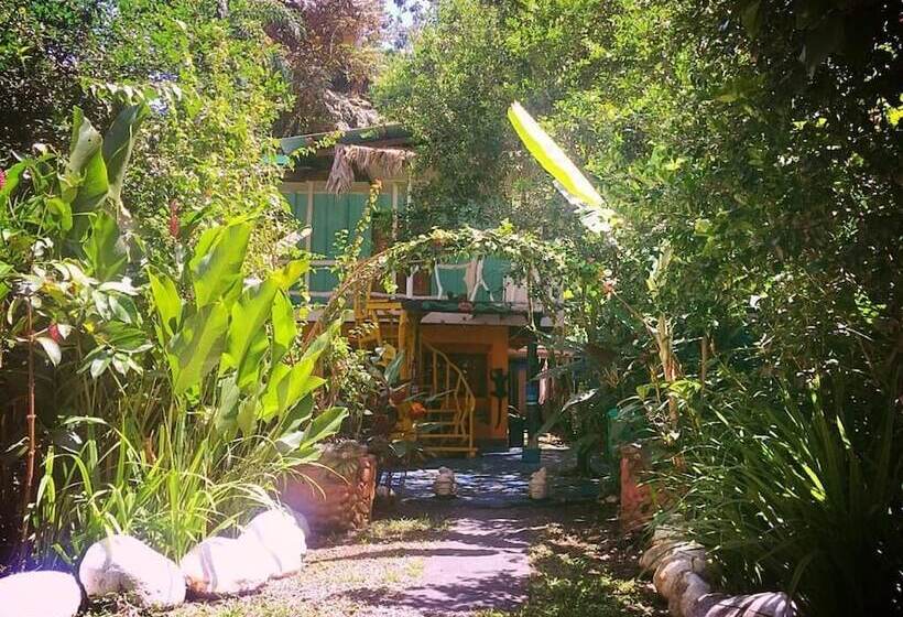 هتل Madre Selva Jungle Hostel