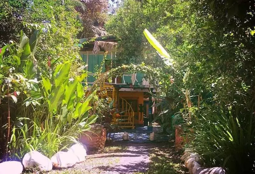 Hotelli Madre Selva Jungle Hostel