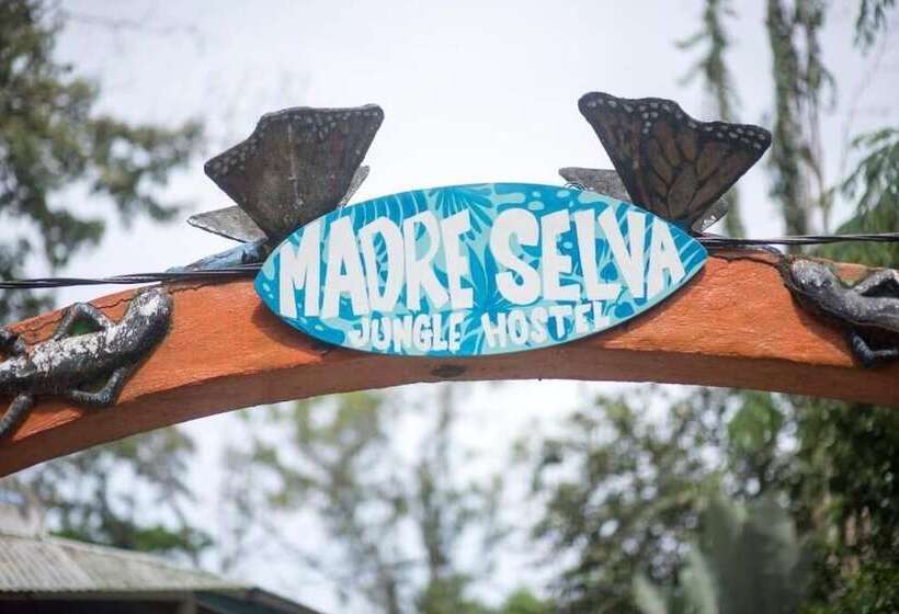 هتل Madre Selva Jungle Hostel