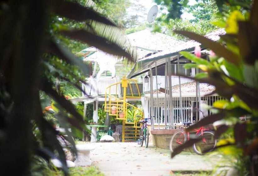 هتل Madre Selva Jungle Hostel