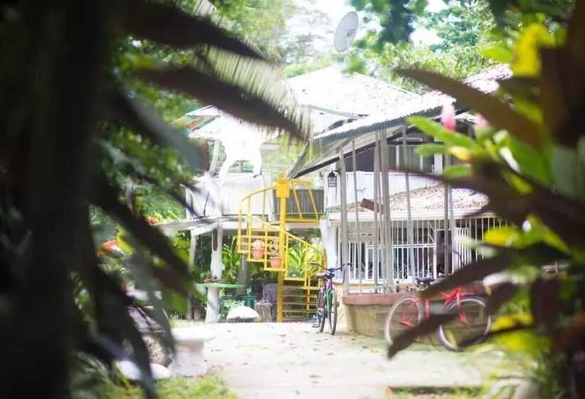 Hotelli Madre Selva Jungle Hostel