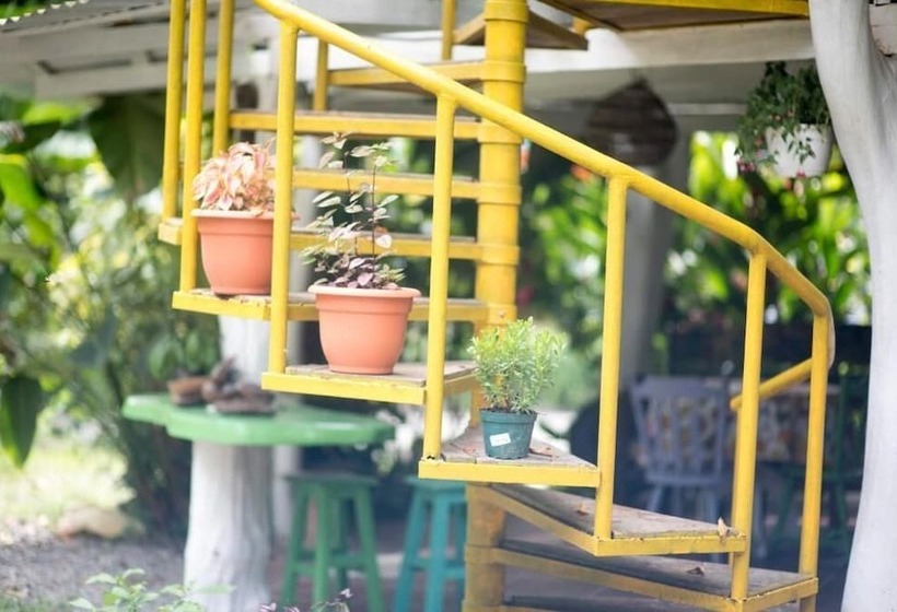 هتل Madre Selva Jungle Hostel