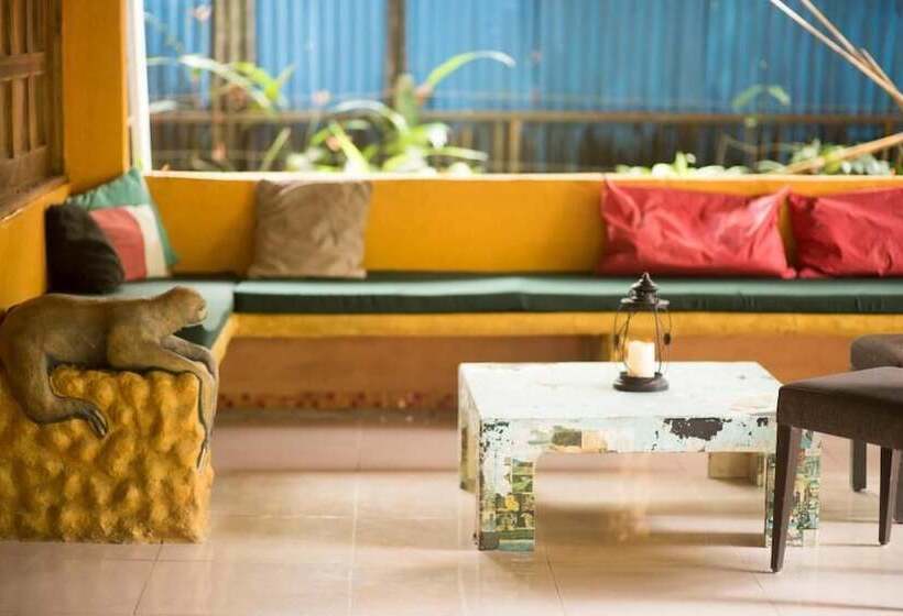 هتل Madre Selva Jungle Hostel