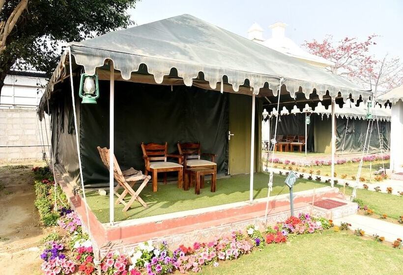 Hotel The Kasbah Resort