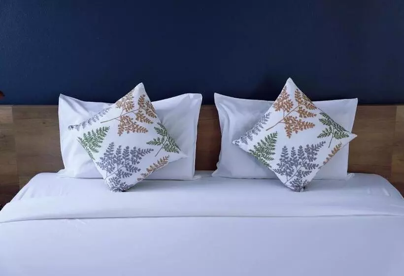 旅馆 Chiangmai Inn Guesthouse