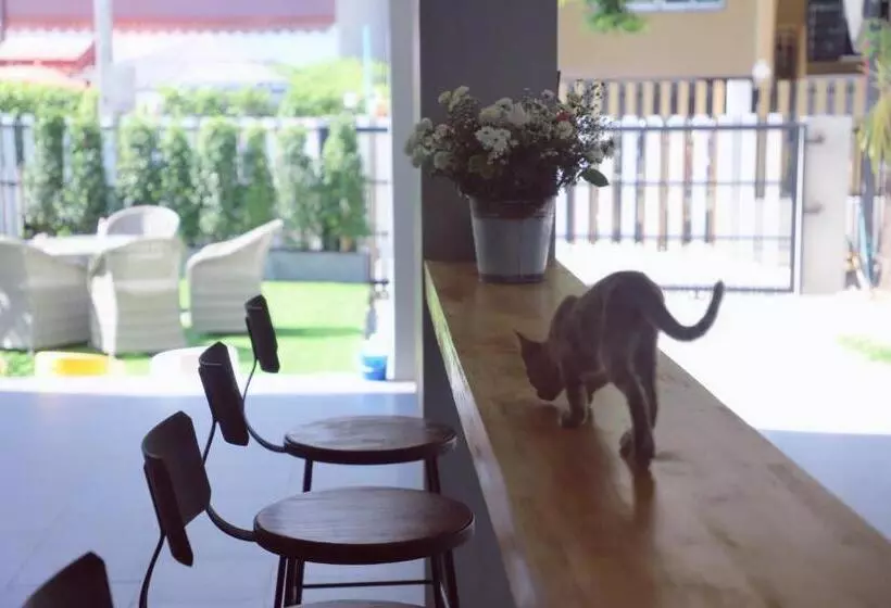 旅馆 Chiangmai Inn Guesthouse