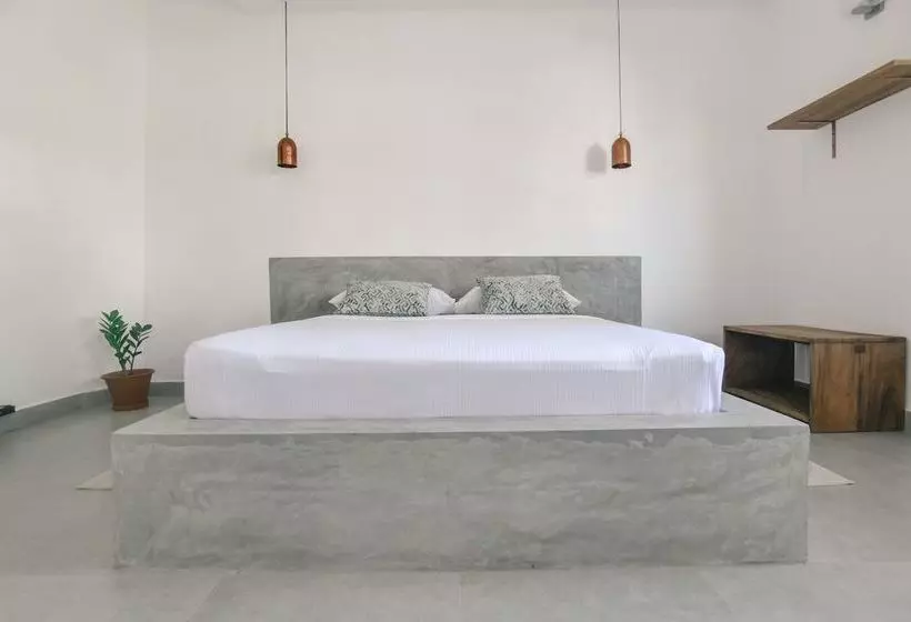 客栈  City Beds  The Regent