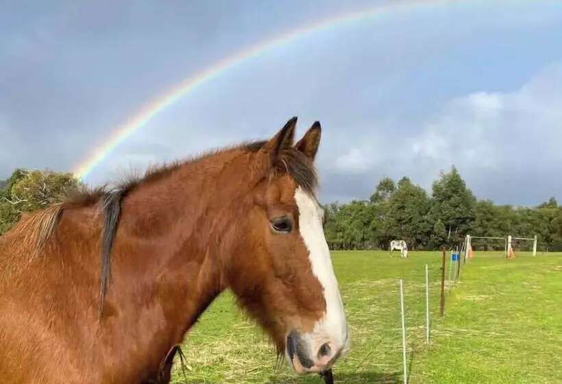 ホテル Big4 Middleton Beach Holiday Park