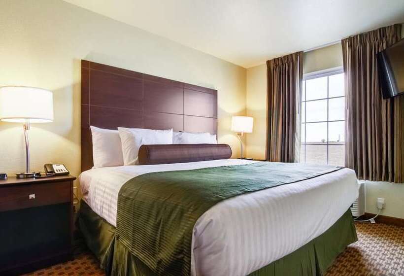 酒店 Castle Rock Inn & Suites